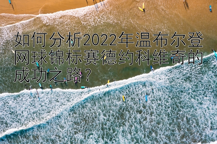 如何分析2022年温布尔登网球锦标赛德约科维奇的成功之路？