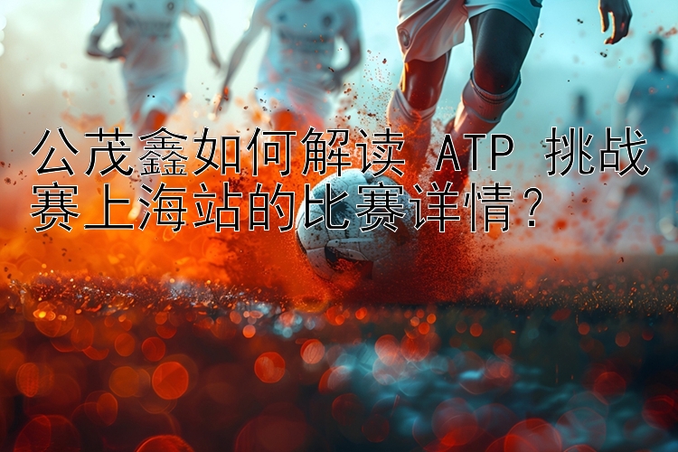 公茂鑫如何解读 ATP 挑战赛上海站的比赛详情？