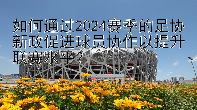 如何通过2024赛季的足协新政促进球员协作以提升联赛水平？