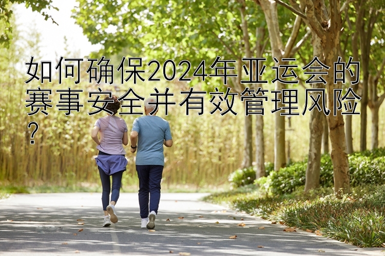 如何确保2024年亚运会的赛事安全并有效管理风险？