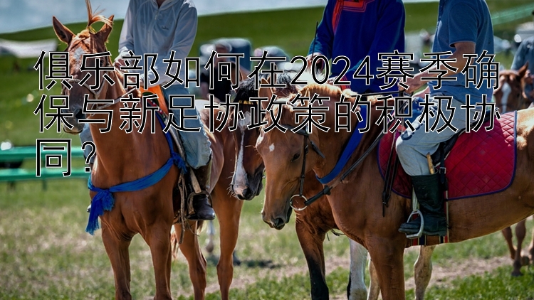 俱乐部如何在2024赛季确保与新足协政策的积极协同？