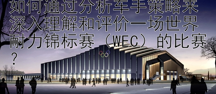 如何通过分析车手策略来深入理解和评价一场世界耐力锦标赛（WEC）的比赛？