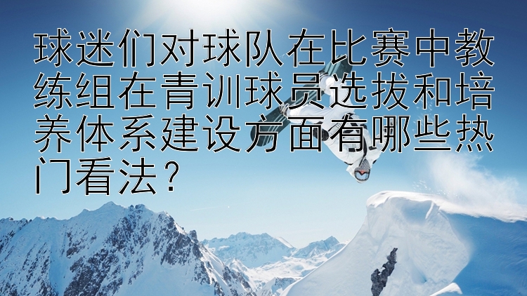 球迷们对球队在比赛中教练组在青训球员选拔和培养体系建设方面有哪些热门看法？